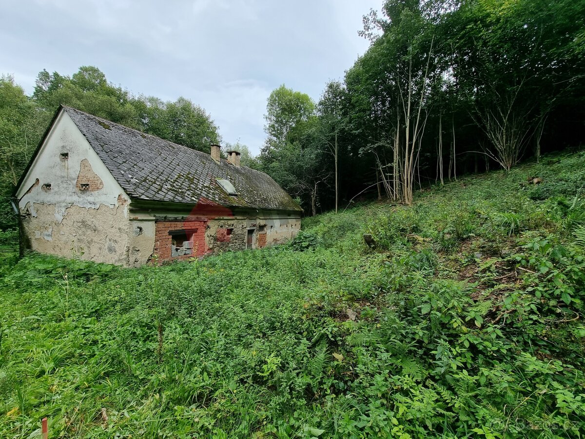 Prodej chalupy 150 m2 Petrovice u Skorošic, okres Jeseník - 3