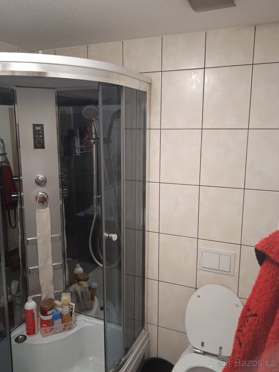 Rekonstrukce, renovace, opravy - 3