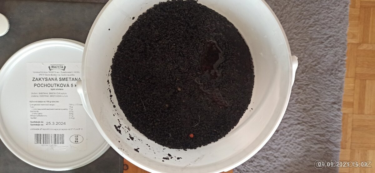 Prodám mini akvárium.krevetárium - 3