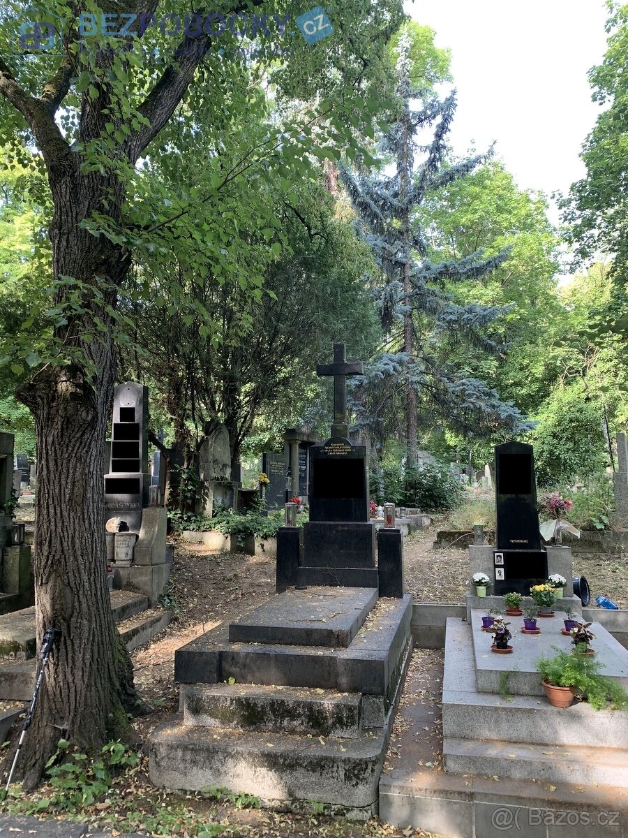Prodej hrobky na Olšanských hřbitovech v Praze - 3