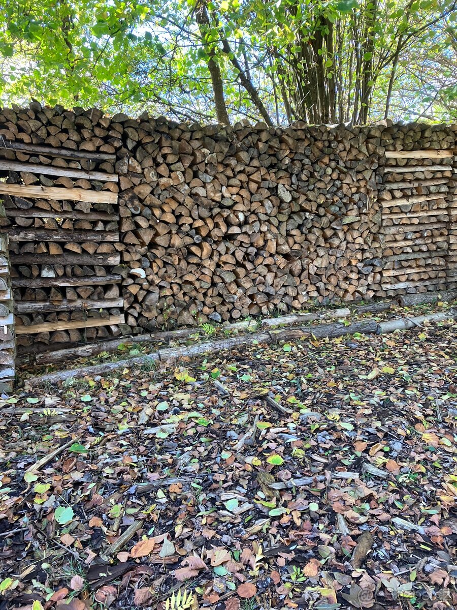 Palivové dřevo - 3