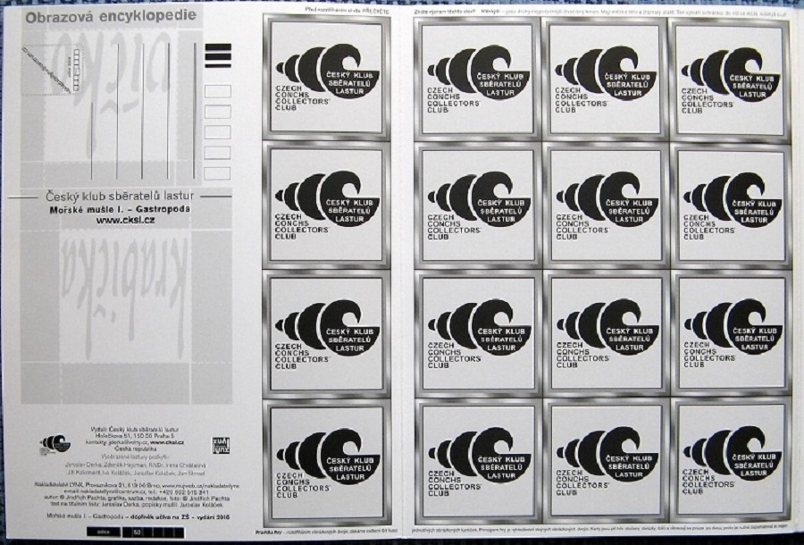 Pexeso s mořskými mušlemi - 3