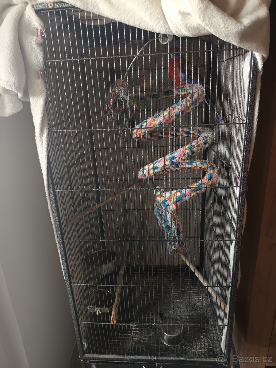Prodám voliéru s Roselou - 3