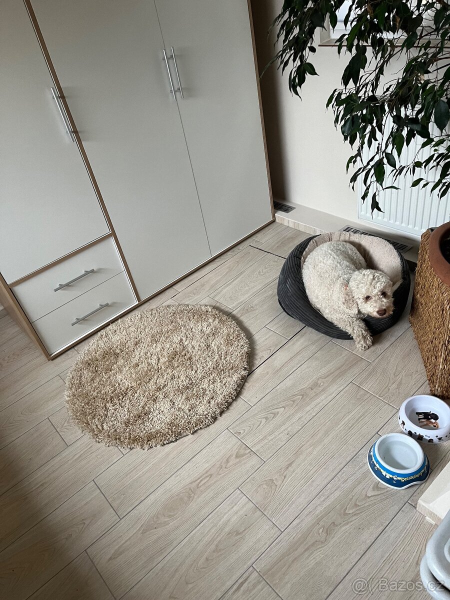 Rodinný Psí hotel - 3