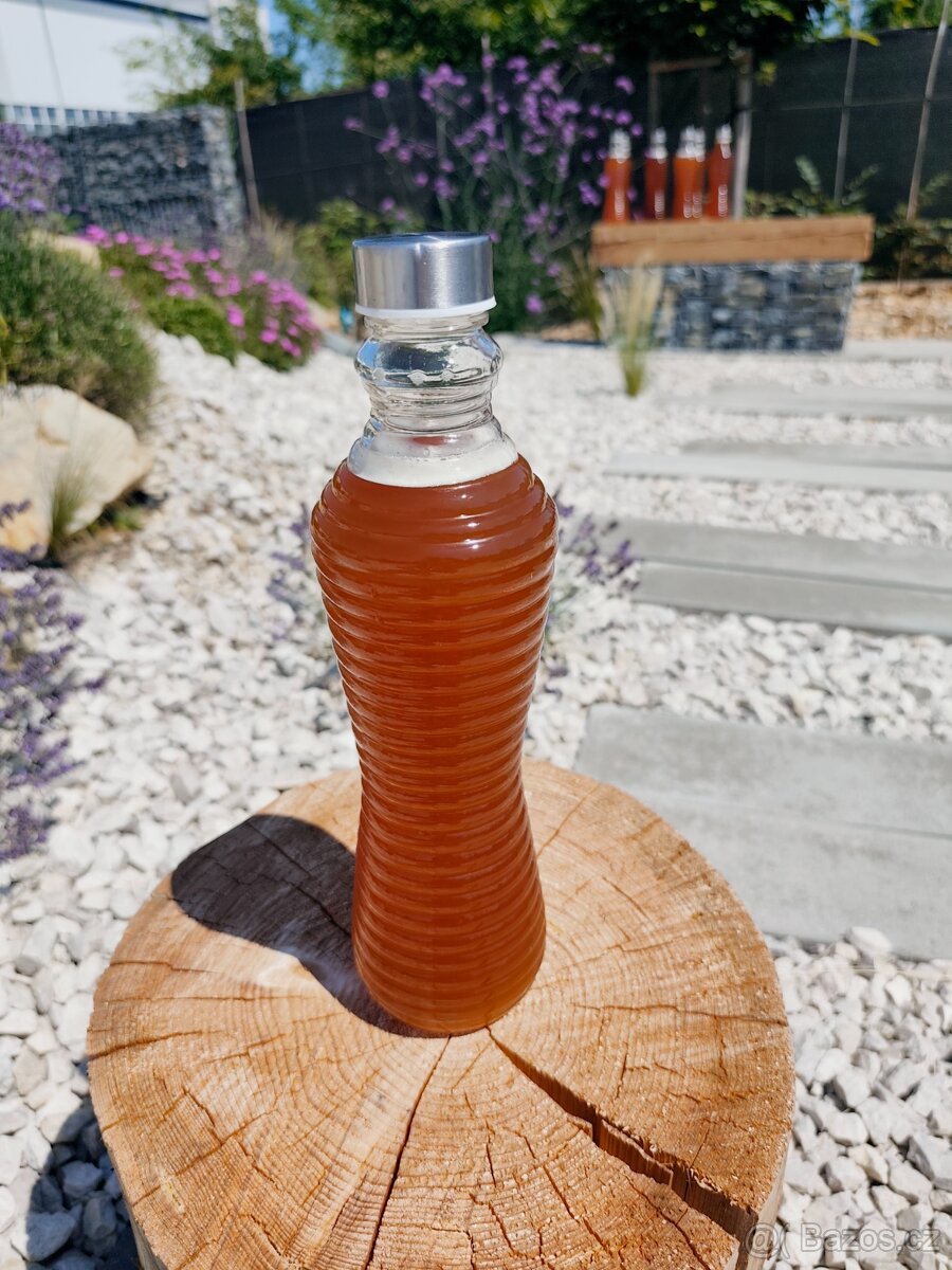 Kombucha - 3