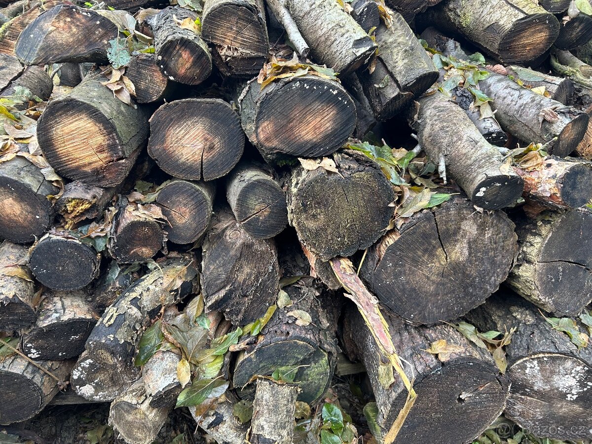 Palivové dřevo, dříví - 3