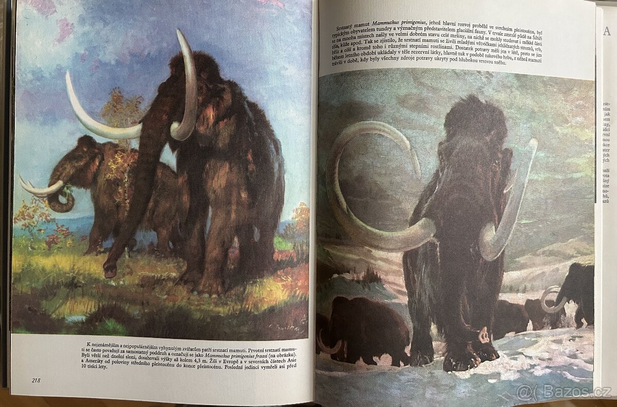 Velká kniha o pravěku - 3