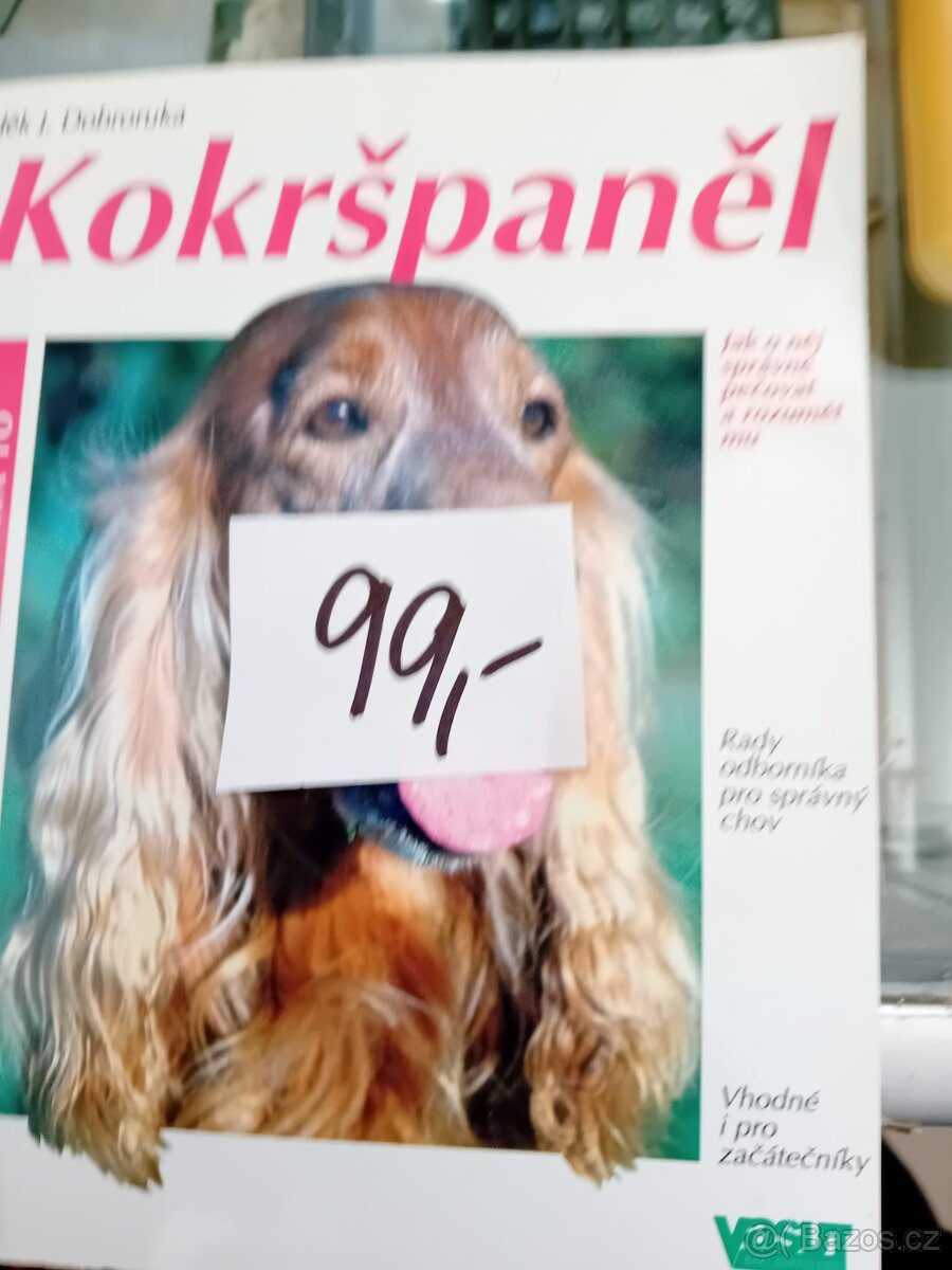 Špicové Stafordšírský bulteriér Kokršpaněl, kavalír King Cha - 3