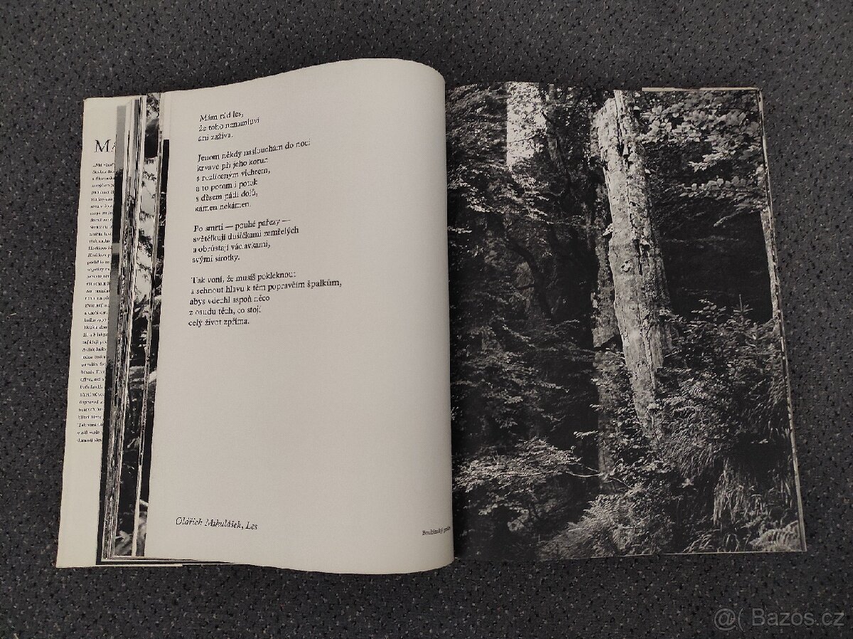 Vilém Heckel - Má vlast - 3