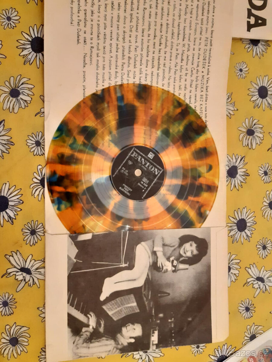 SP deska ružné druhy výběr dle foto - 3