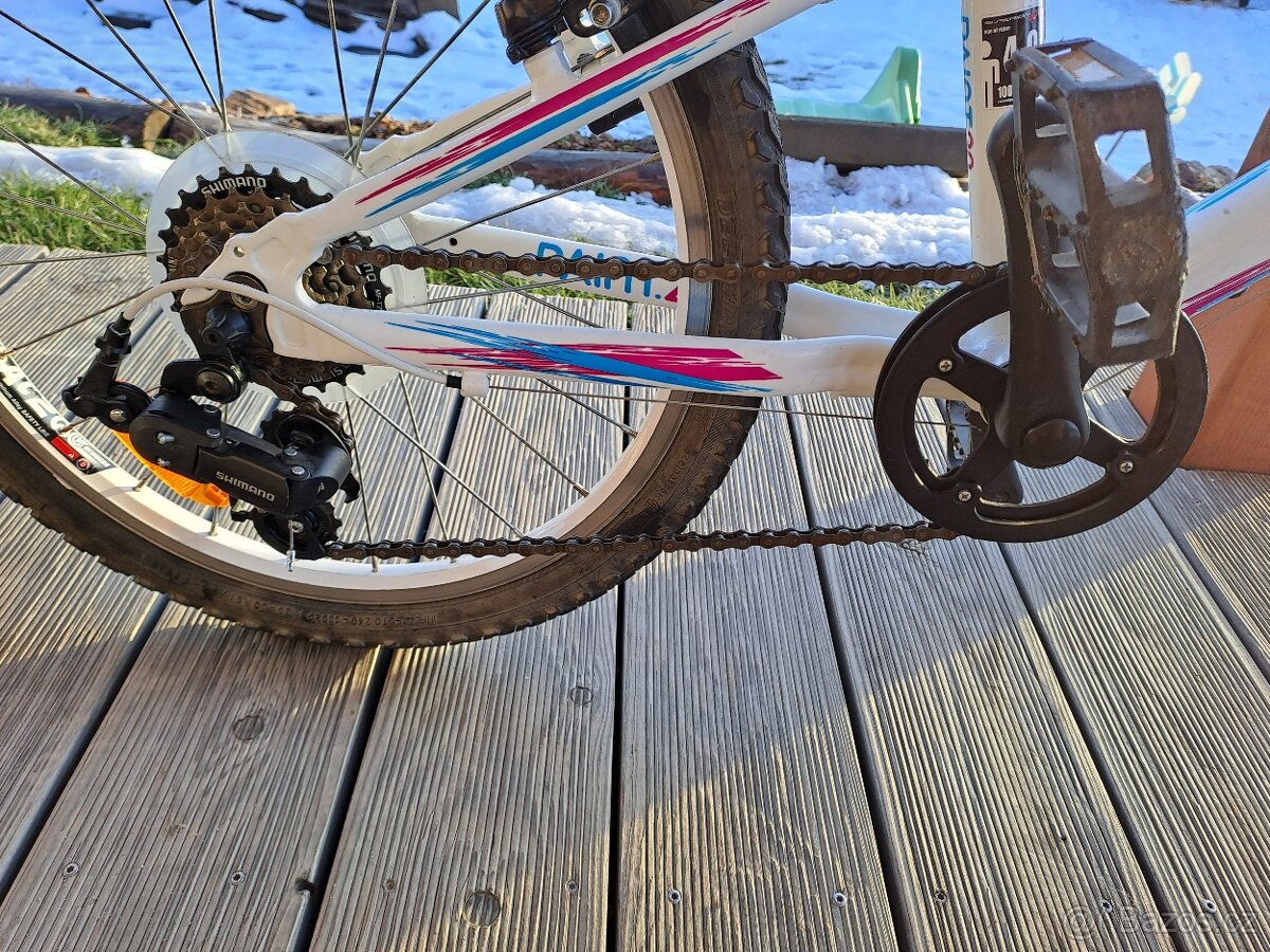 Superior Paint 20"- PĚKNÉ - 3