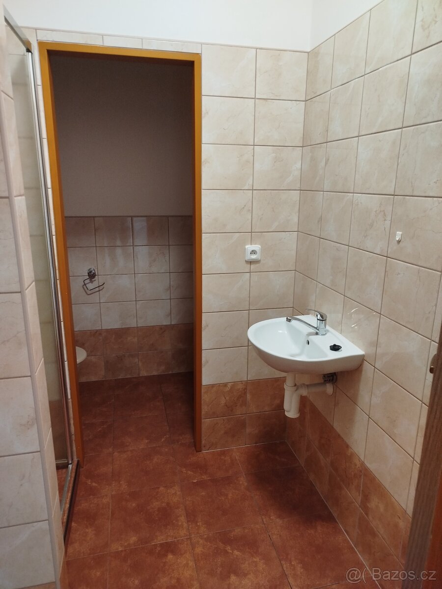 pronájem bytu Vítkov - 3