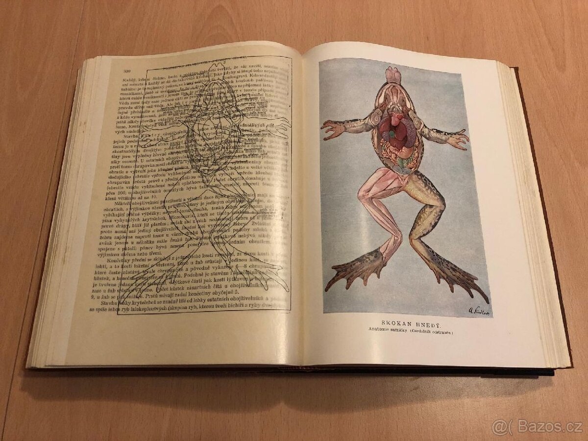 Brehmův život zvířat - 3