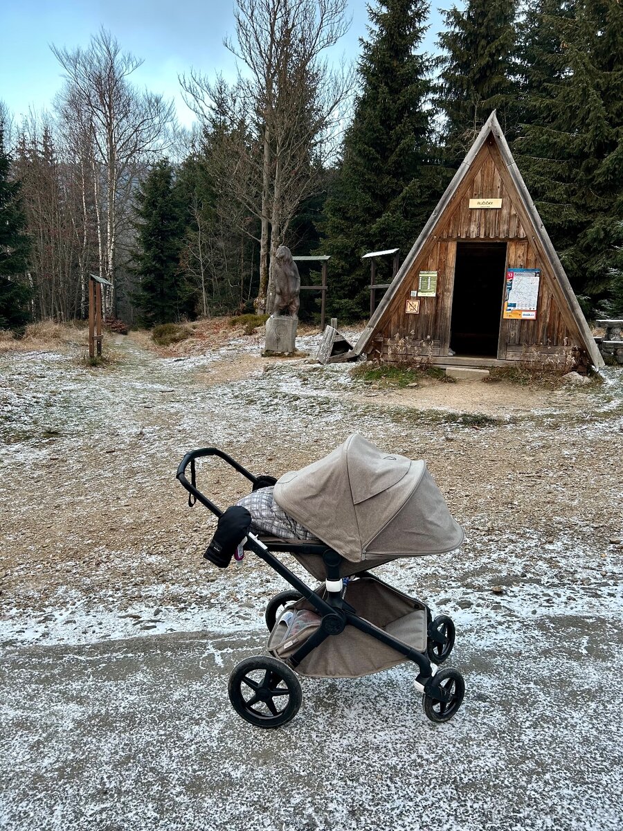 Bugaboo FOX 2 - 3
