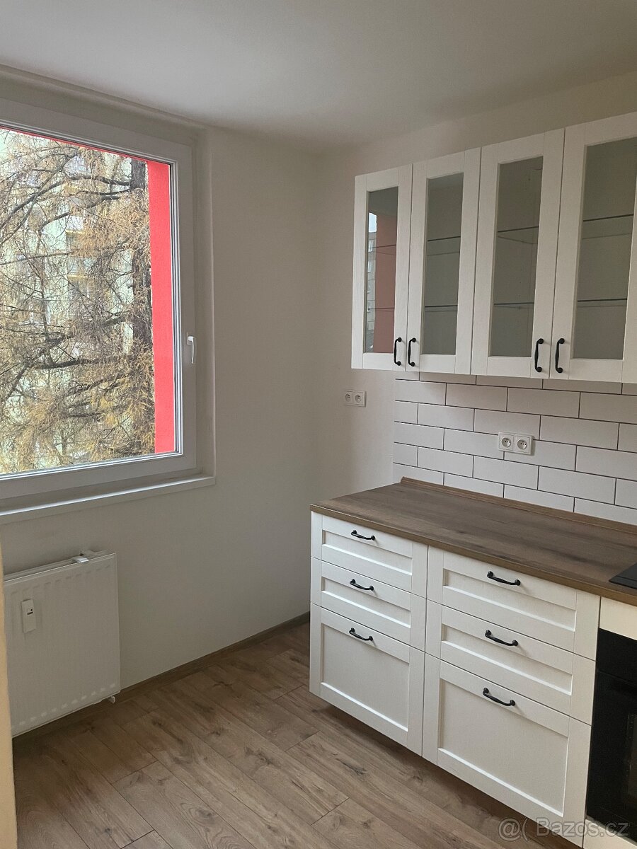 Pronájem bytu 1+1 - Bruntál, ul. Družební - 3