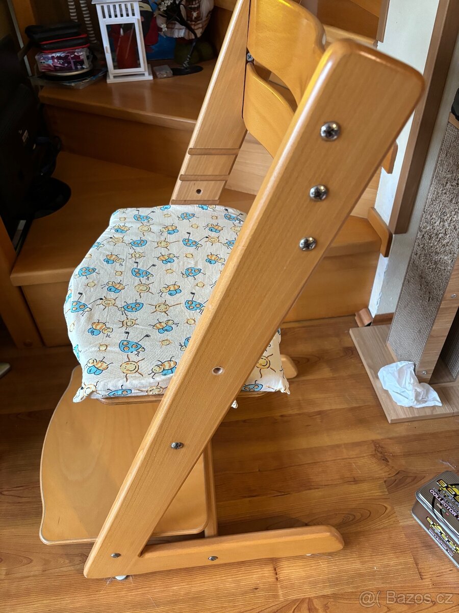 Jitro rostoucí židle buk - 3