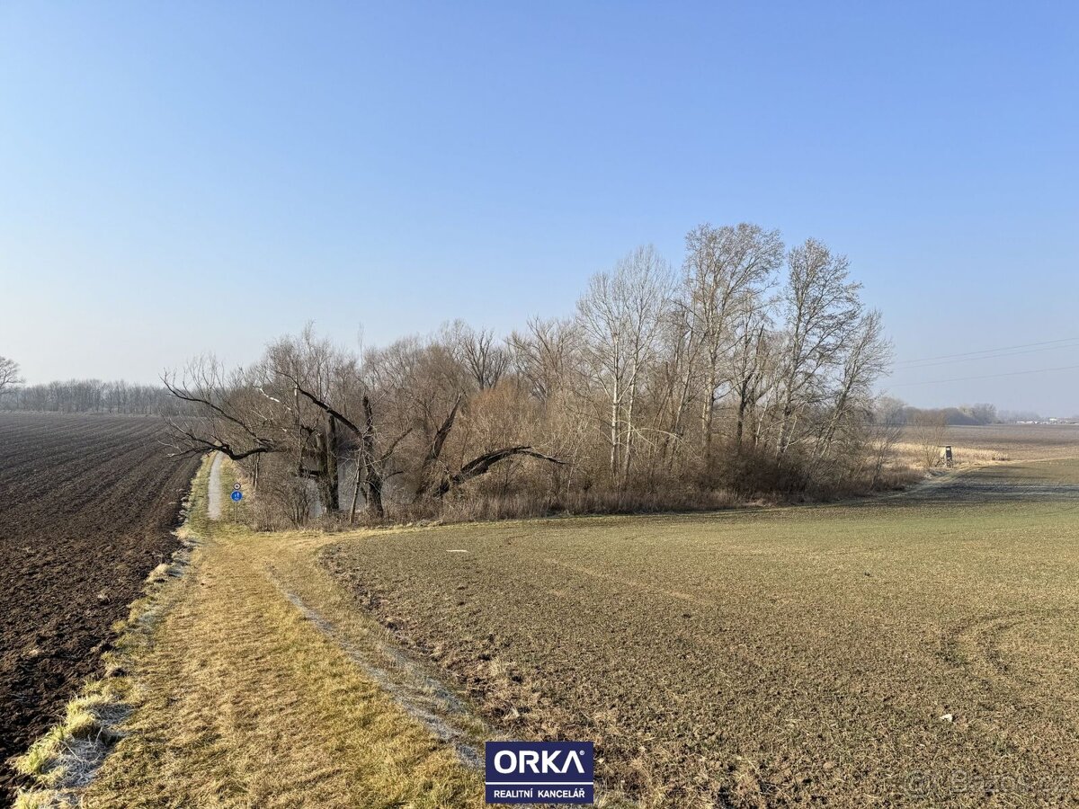 Pronájem rybník, 6 501 m2 - Bystročice - 3