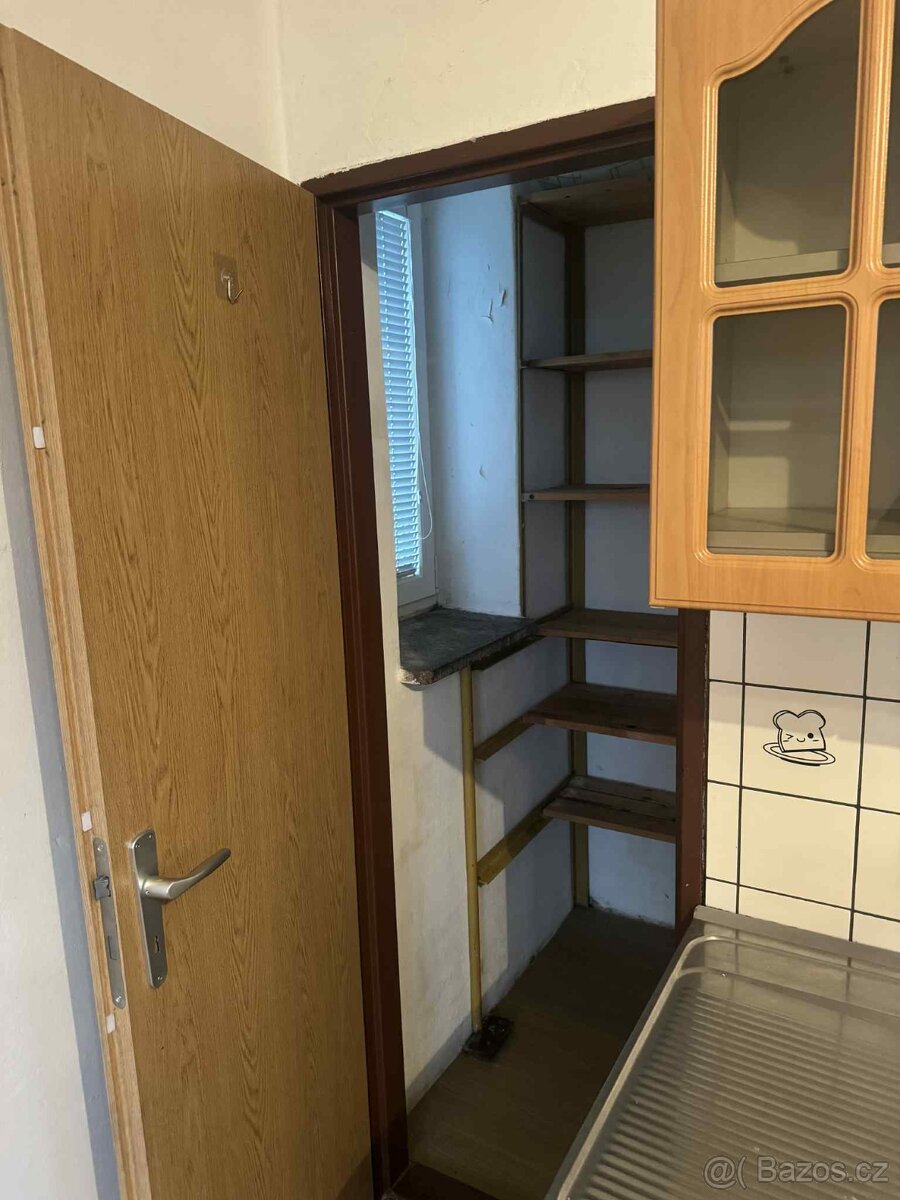 byt 2+ 1 se zahradkou , pro pracujici i Cizince - 3