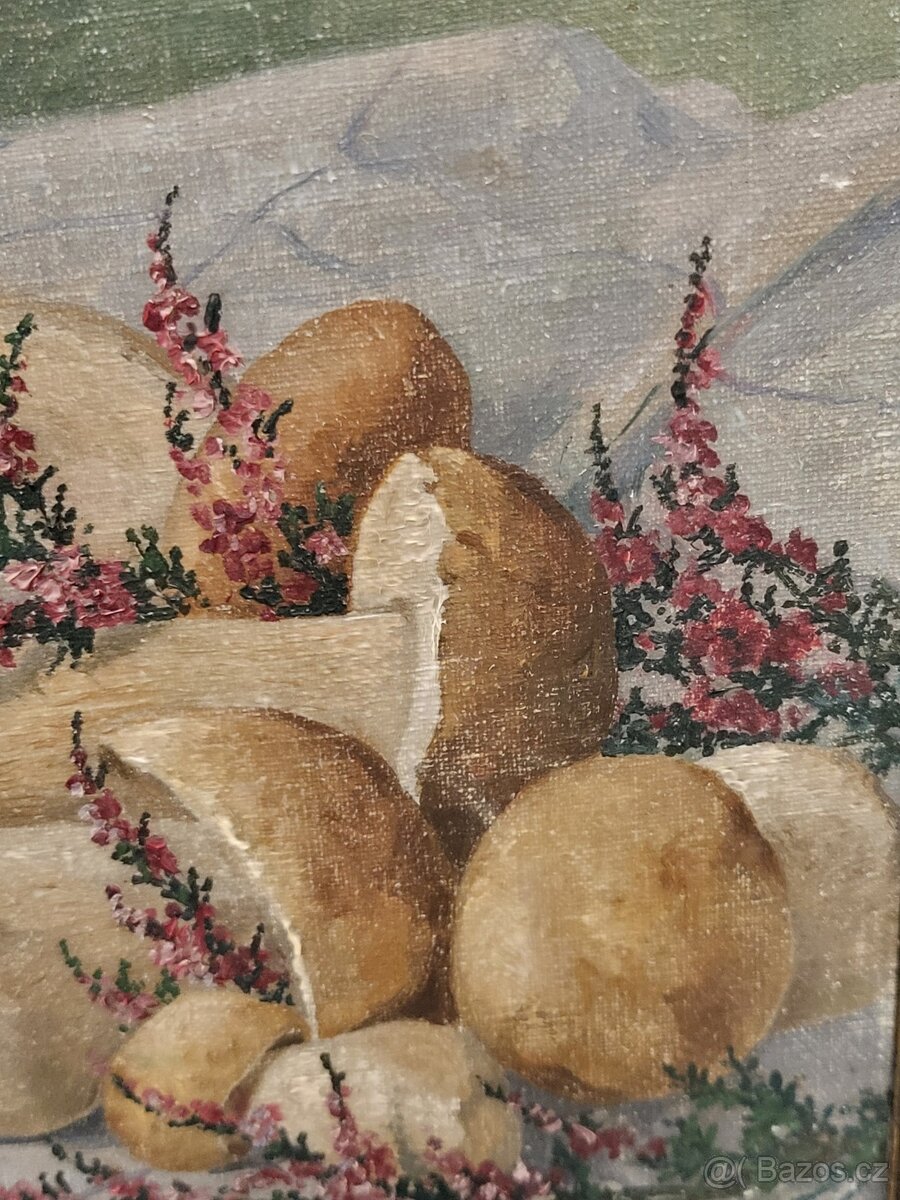 obraz olej na plátně B.Franke - houby - 3