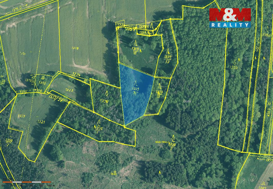 Prodej lesa, 20093 m², Skály - 3