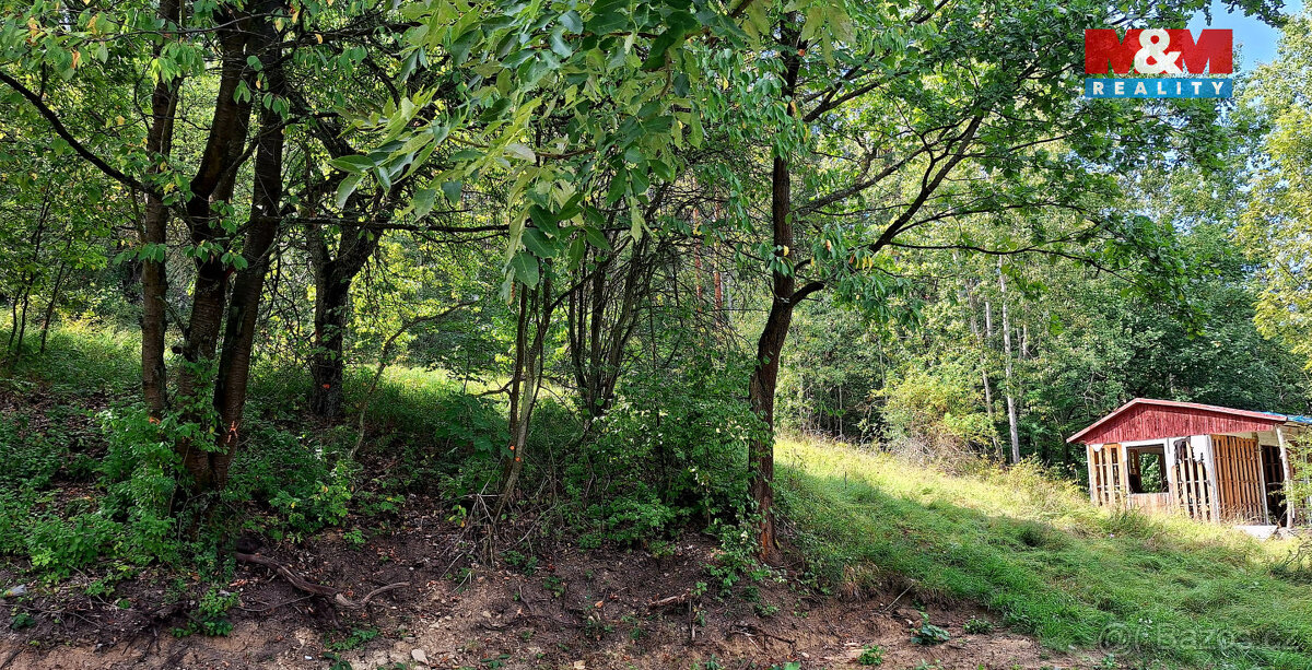 Prodej chaty a rekreační areál, 10875 m², Úštěk - 3