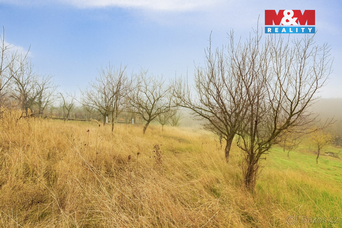 Prodej vinice, 1791 m², Bukovany - 3