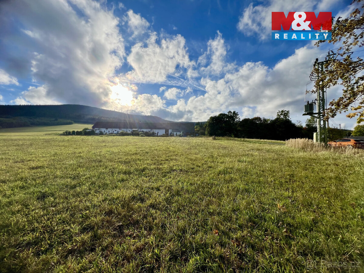 Prodej pozemku k bydlení, 43959 m², Králíky - 3