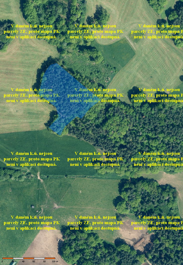 Prodám lesní pozemky - Kadov - Blatná , celkem 14.054m2 - 3