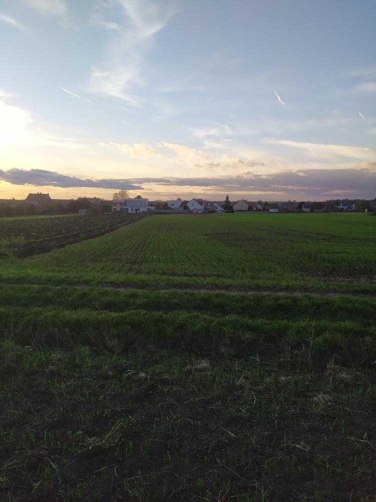 Pozemek Kobylnice u Brna - 3