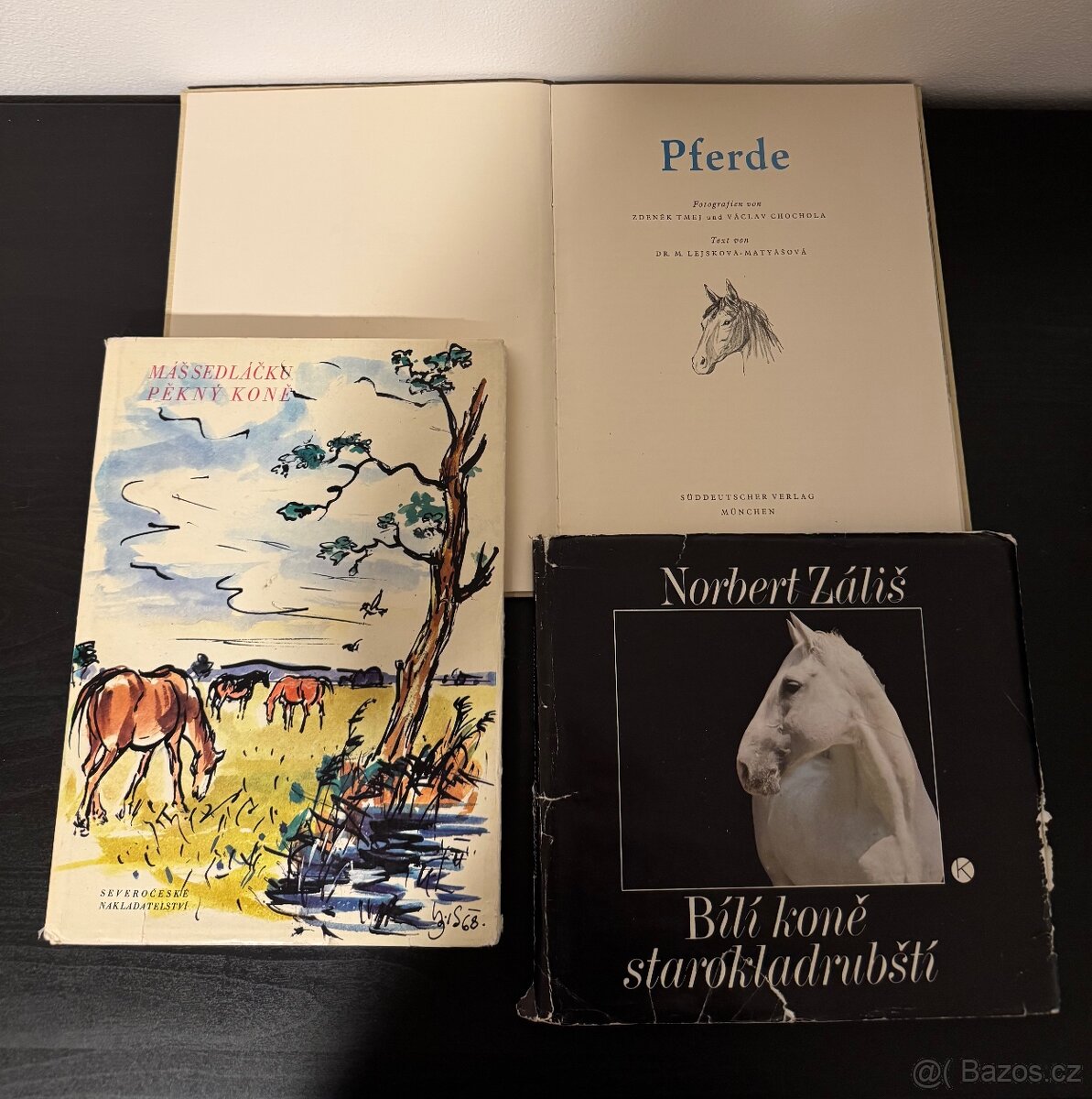 Knihy koně - 3