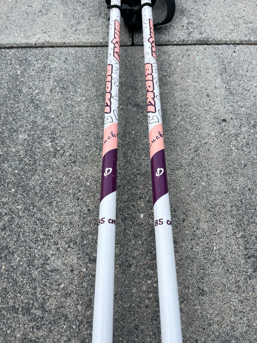 Dětské lyže Salomon + hůlky + lyžařské boty - 3