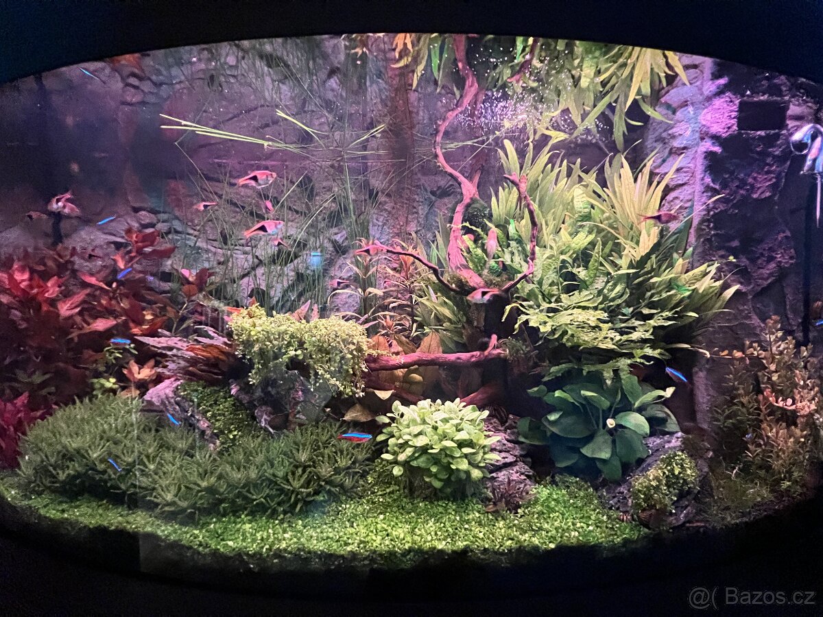 Prodám komplet Juwel Vision 180l. - 3