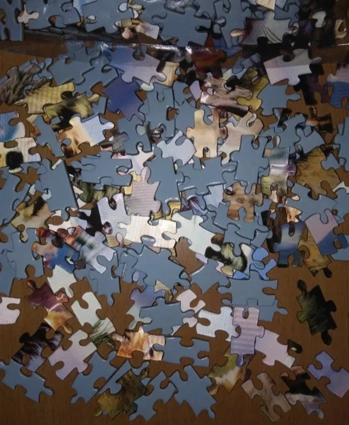 Puzzle - Vlčí rodina s 3D efektem - 3