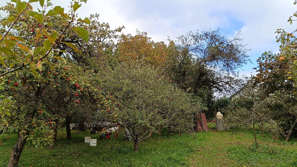 Dlouhodobý pronájem zahrady - 3