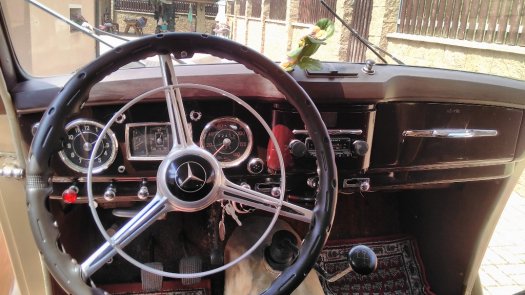 Mercedes 170 sd Diesel r.v-1952 - 3