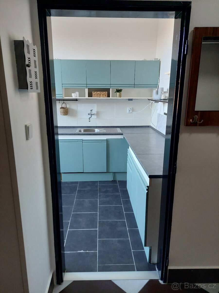 Byt 1+1 46m2 Jugoslávská Brno - 3