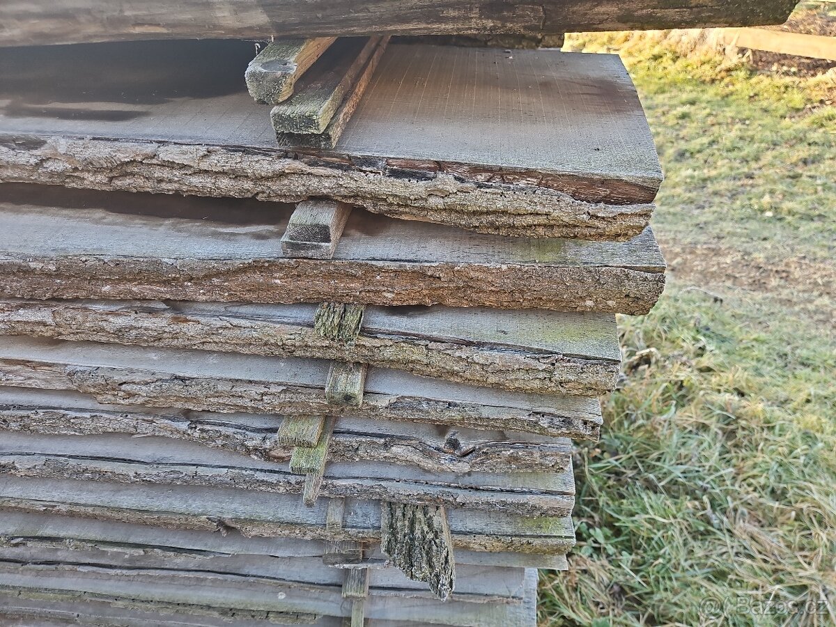 Suche jasanove fosny - 3