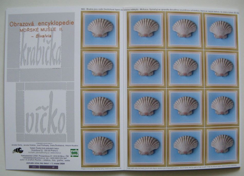 Pexeso s mořskými mlži (Bivalvia) NOVÉ - 3