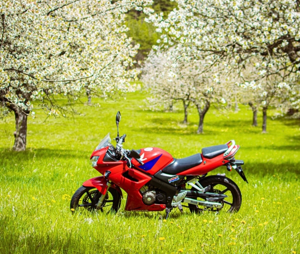 Prodám hondu cbr 125r - 3
