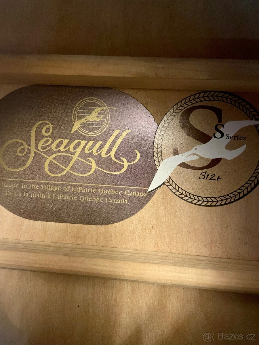 12strunná akustická kytara Seagull CEDR - 3