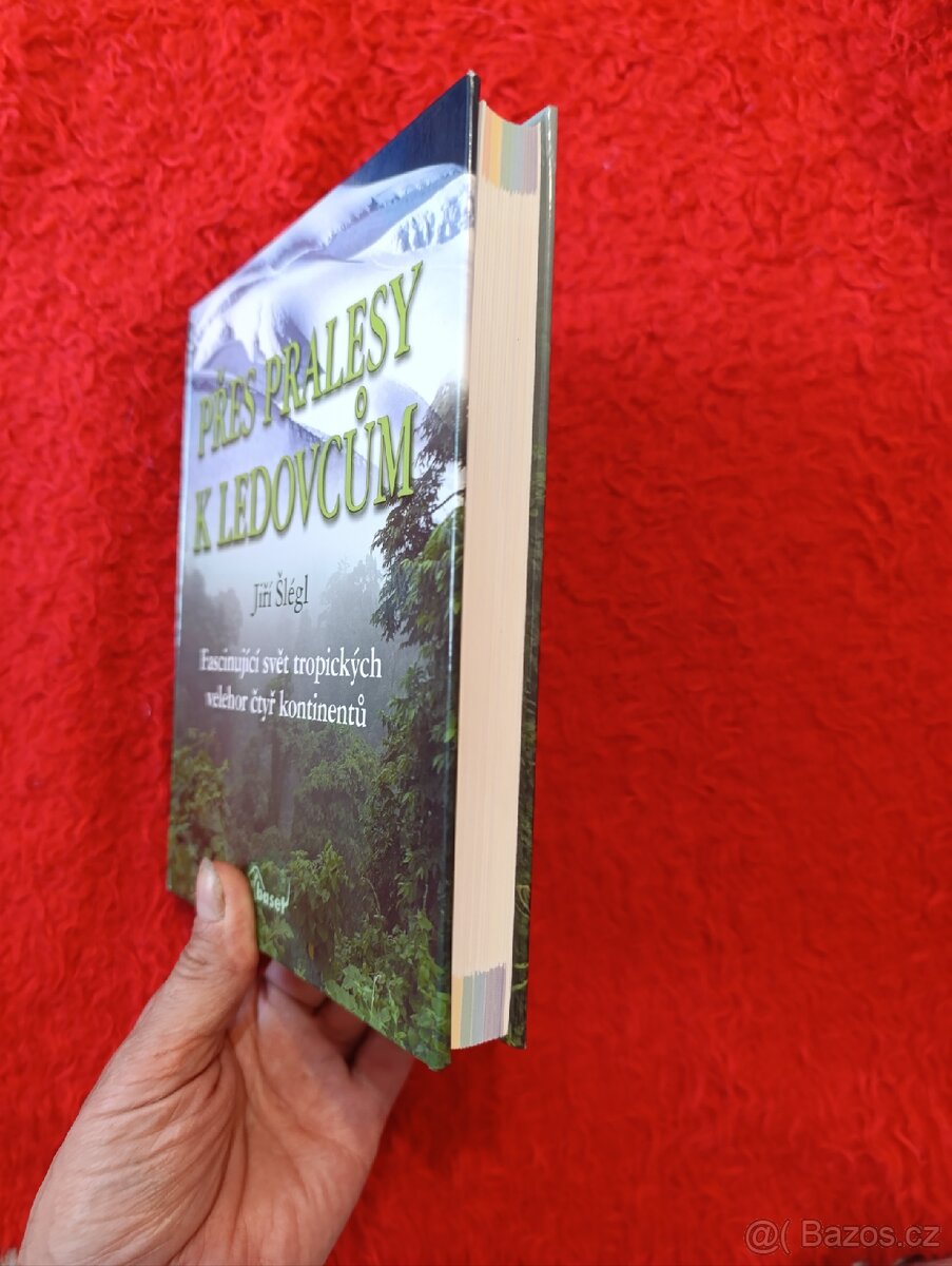 PŘES PRALESY K LEDOVCŮM - 3