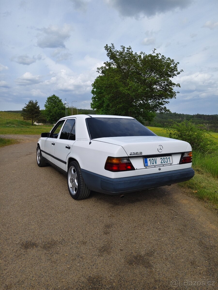 Mercedes-Benz W124 250D - 3