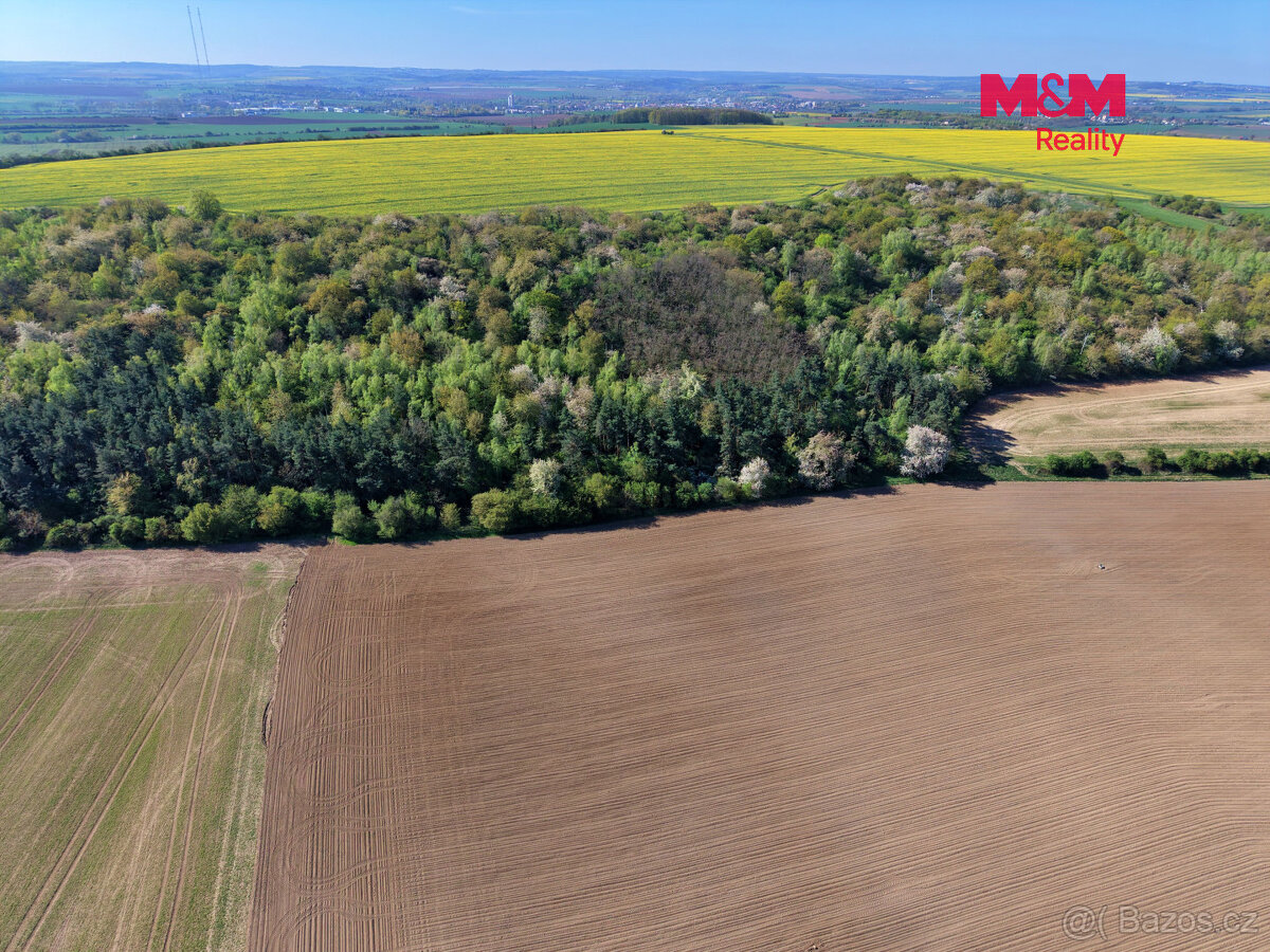 Prodej lesa, 5857 m², Kounice - 3