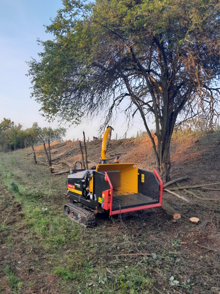 Ořezání a stříhání stromů - 3