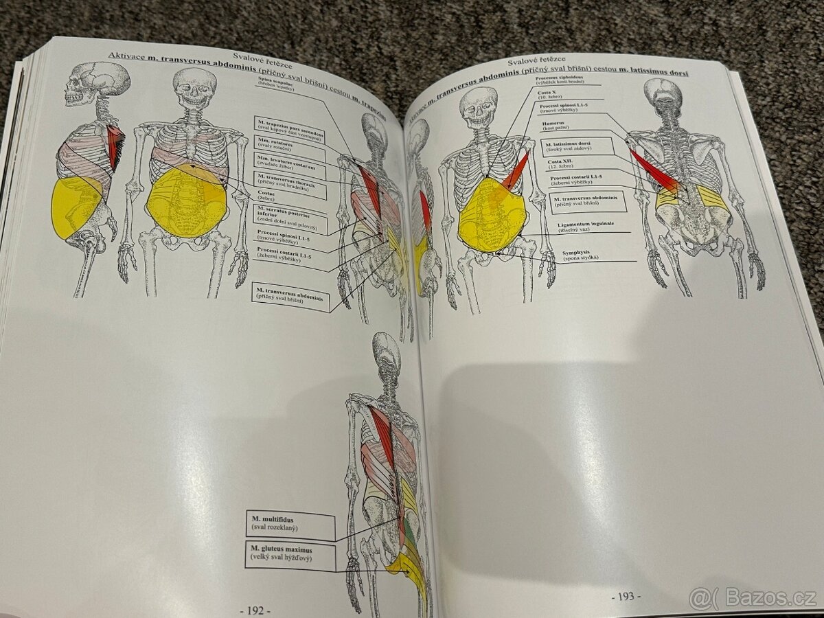 Svalové řetězce 3 (nové) - 3