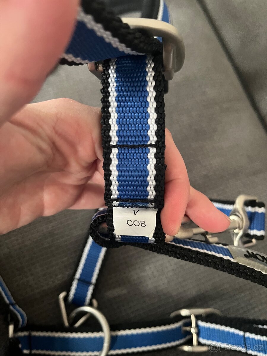 Ohlávka eskadron - 3