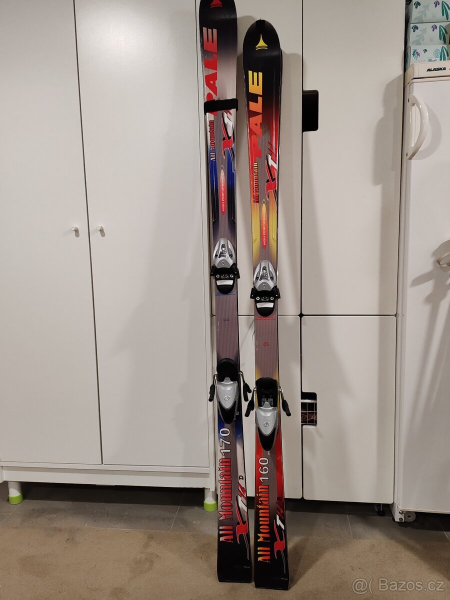 Lyže Pale 170 cm - 3