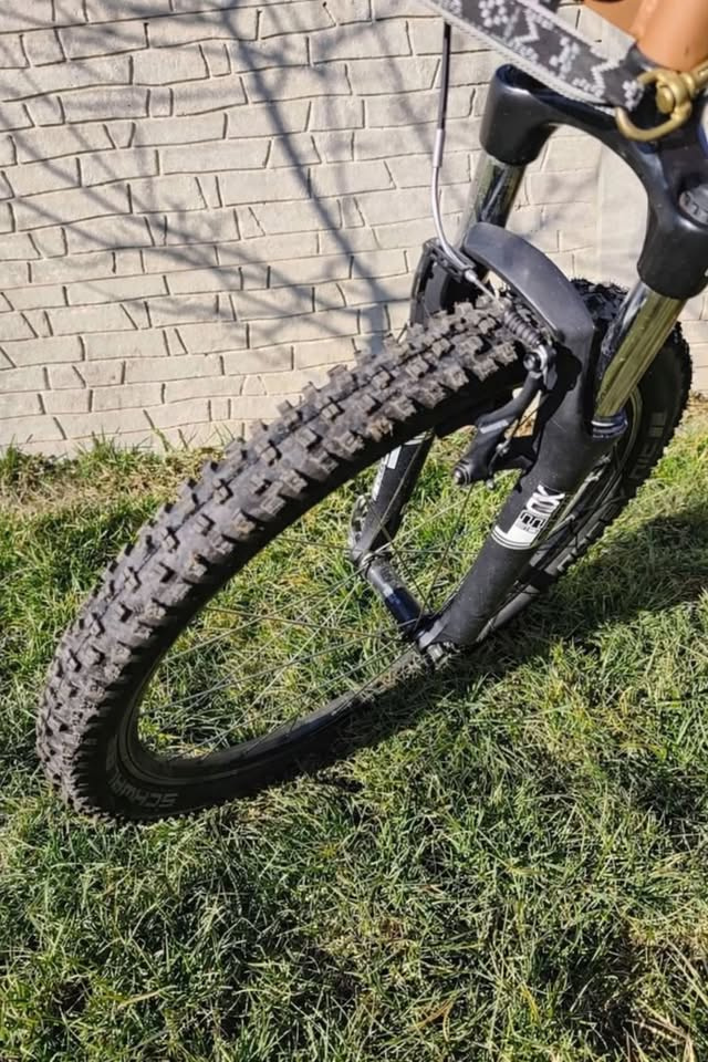 Koloběžka kostka mushing - 3