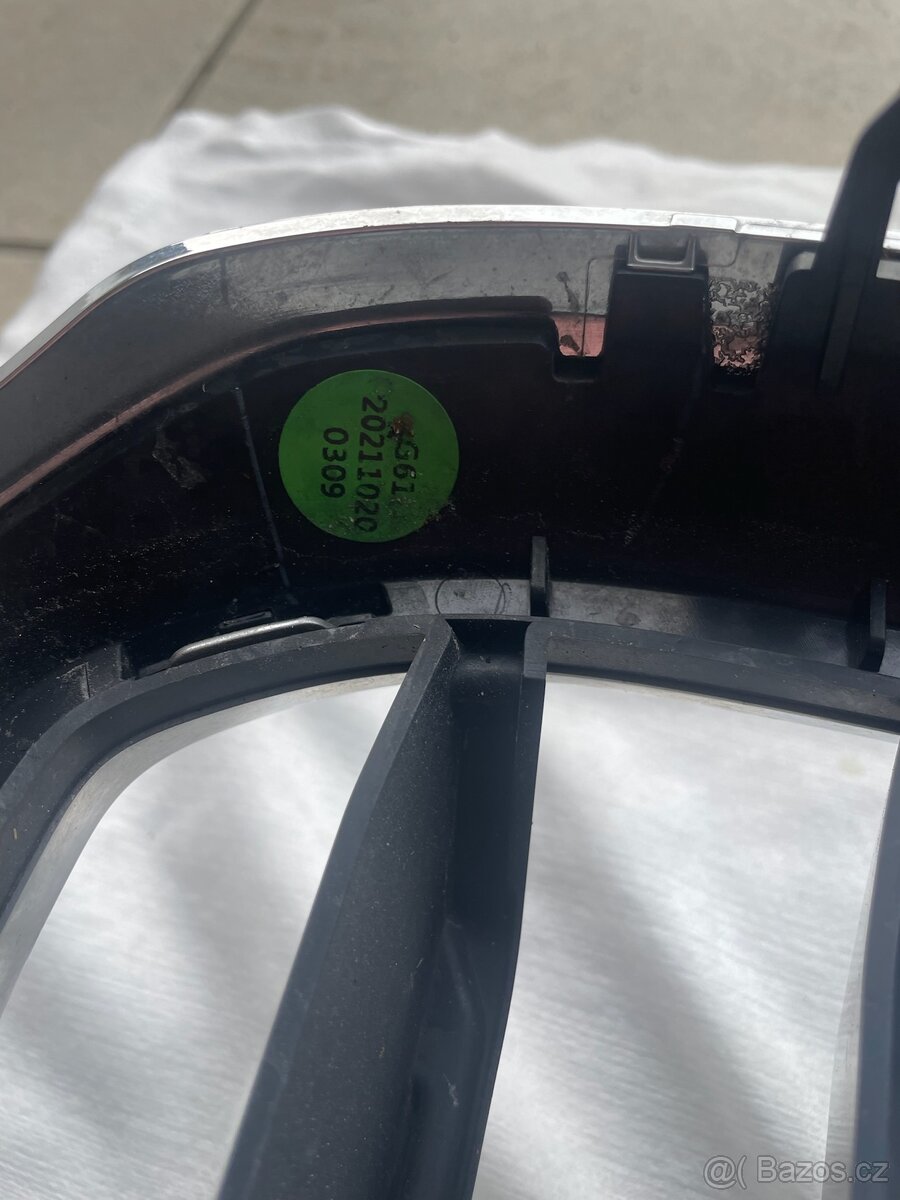 Ledvinky g31 - 3
