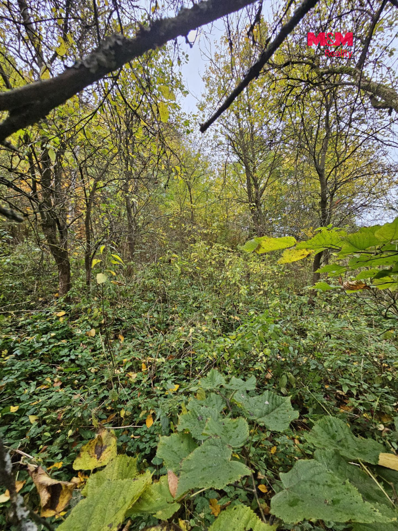 Prodej louky, 1687 m², Hynčina - 3
